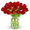 tulips_and_vase
