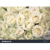 White Roses